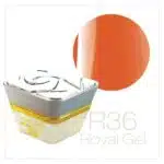 Royal Gel R36 - 'Indian Rose' TF