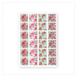Baroque Sticker - Rosen