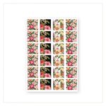 Baroque Sticker - Tropical