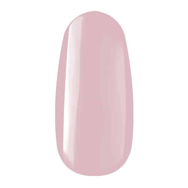 Royal Gel R147 Punch nude TF