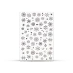 CN water decal - Silver Snow